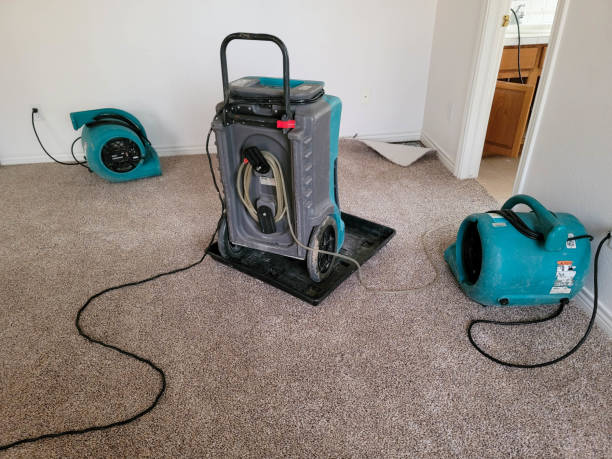 Best Water damage restoration near me  in Poplarville, MS