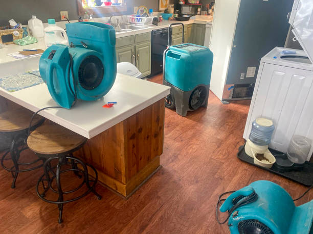 Best Ceiling water damage repair  in Poplarville, MS
