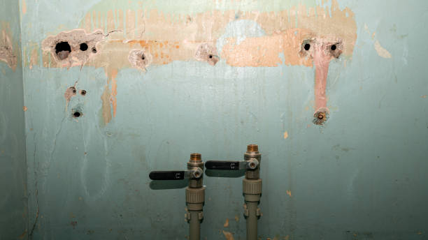 Trusted MS Water damage restoration Experts